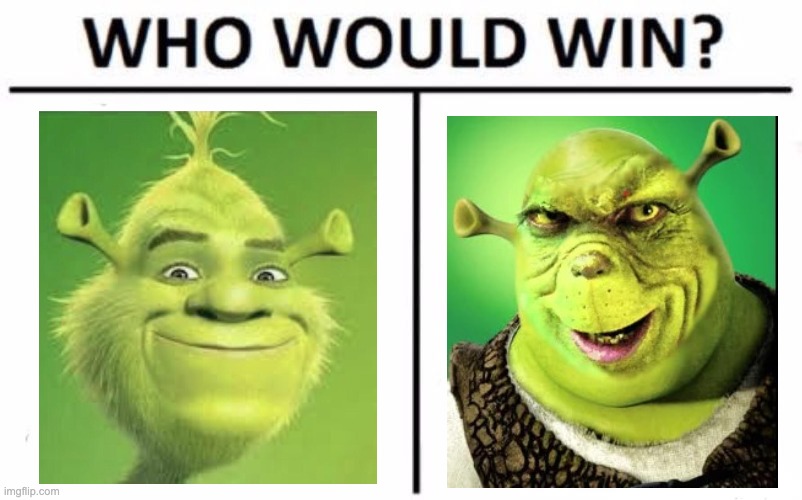 Who Would Win? | image tagged in memes,who would win,shrek,grinch,wtf,oh wow are you actually reading these tags | made w/ Imgflip meme maker