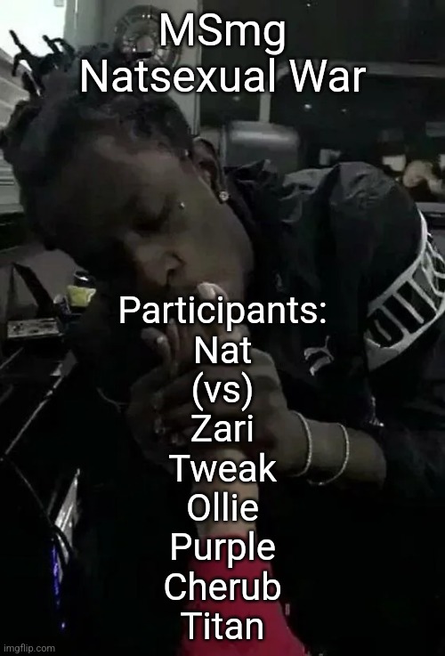 ts needs a Wikipedia page honestly | MSmg Natsexual War; Participants:
Nat
(vs)
Zari
Tweak
Ollie
Purple
Cherub
Titan | image tagged in thugger | made w/ Imgflip meme maker