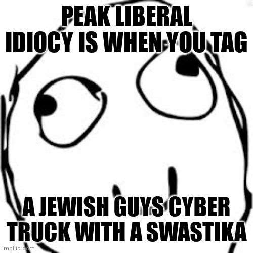 Ruled by their emotions | PEAK LIBERAL IDIOCY IS WHEN YOU TAG; A JEWISH GUYS CYBER TRUCK WITH A SWASTIKA | image tagged in memes,derp,democrats,liberals | made w/ Imgflip meme maker