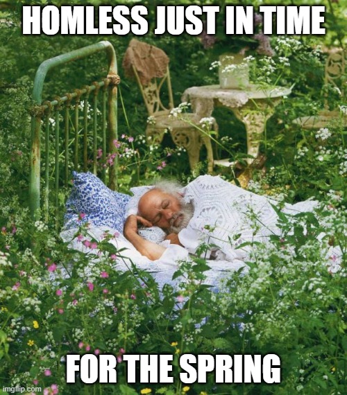 Homless JIT | HOMLESS JUST IN TIME; FOR THE SPRING | image tagged in homework,homer simpson | made w/ Imgflip meme maker