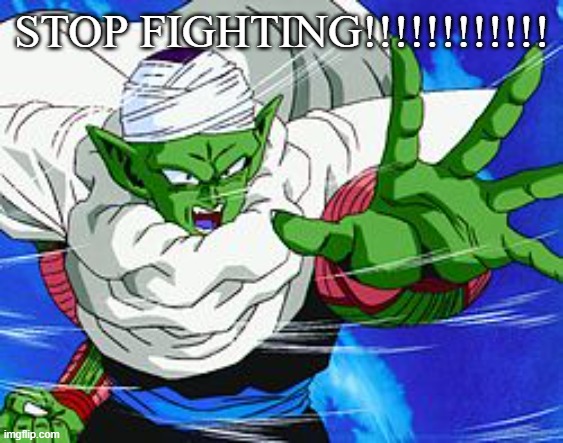 Piccolo | STOP FIGHTING!!!!!!!!!!!! | image tagged in piccolo | made w/ Imgflip meme maker