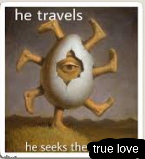 where is it | true love | image tagged in egg | made w/ Imgflip meme maker