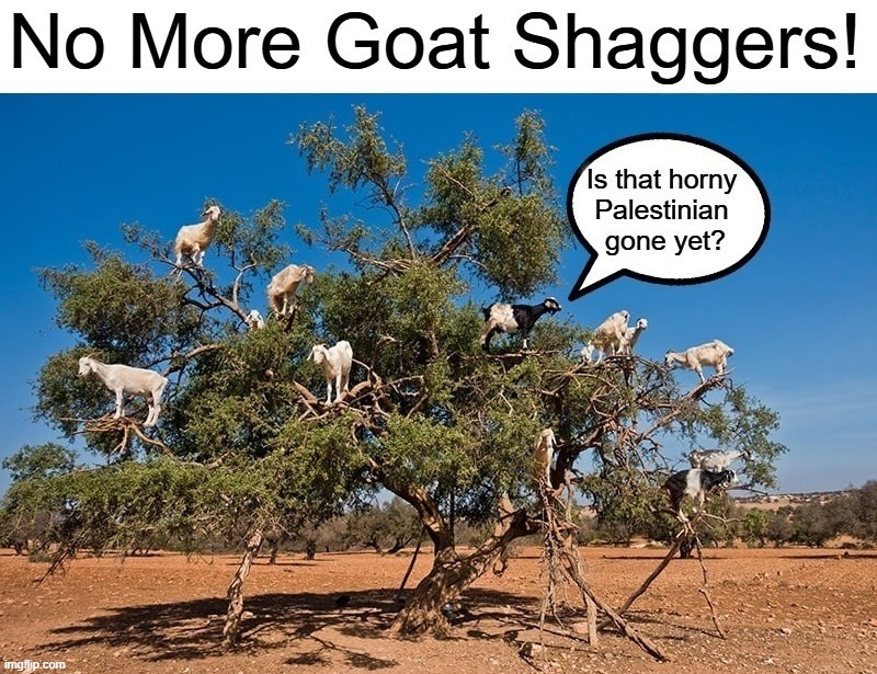 No More Goat Shaggers! | image tagged in goat love,goat sex,goat shaggers,muslim advice,mohammed brand condoms,bestiality | made w/ Imgflip meme maker