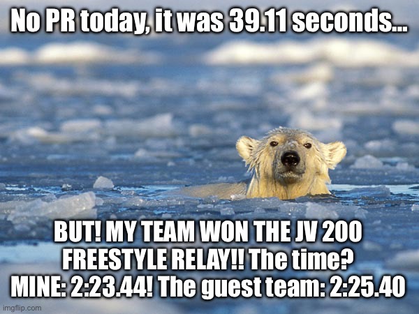 We be playing “F!EN” after the swim meet, boys! | No PR today, it was 39.11 seconds…; BUT! MY TEAM WON THE JV 200 FREESTYLE RELAY!! The time? MINE: 2:23.44! The guest team: 2:25.40 | image tagged in polar bear swim | made w/ Imgflip meme maker