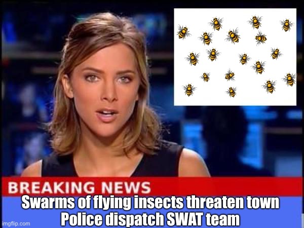 Breaking News | Swarms of flying insects threaten town
Police dispatch SWAT team | image tagged in breaking news,bad pun | made w/ Imgflip meme maker