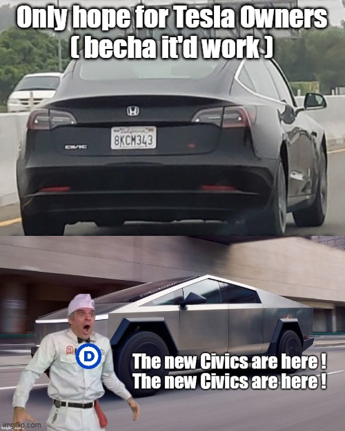 Identifies as a Honda | Only hope for Tesla Owners
( becha it'd work ) | image tagged in tesla honda tags camouflage meme | made w/ Imgflip meme maker