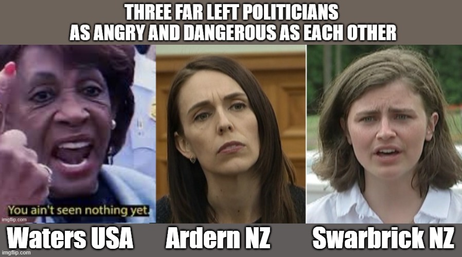 Three Bad Lefties | Waters USA       Ardern NZ         Swarbrick NZ | image tagged in lefties,greenies,democrat | made w/ Imgflip meme maker