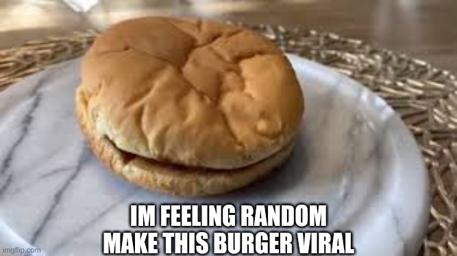 Burger | IM FEELING RANDOM
MAKE THIS BURGER VIRAL | image tagged in memes,funny,random,upvote begging | made w/ Imgflip meme maker