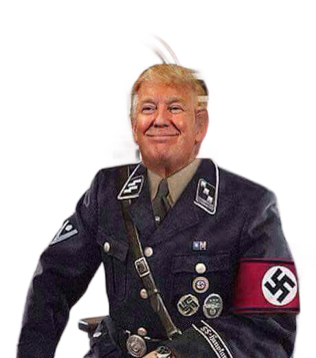 Trump Nazi neo-Nazi white supremacist domestic terrorist Blank Meme Template