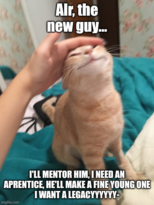 I'm crashing out it seems ... | Alr, the new guy... I'LL MENTOR HIM, I NEED AN APRENTICE, HE'LL MAKE A FINE YOUNG ONE
I WANT A LEGACYYYYYY- | image tagged in cat pat,super senior ah crashout,jk chat jk | made w/ Imgflip meme maker