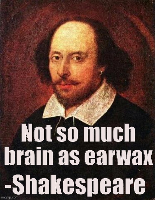 "OOH BURN!!!" | Not so much brain as earwax; -Shakespeare | image tagged in shakespeare | made w/ Imgflip meme maker