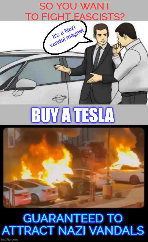 Nazi Vandal Magnet | SO YOU WANT TO FIGHT FASCISTS? It's a Nazi vandal magnet; BUY A TESLA; GUARANTEED TO ATTRACT NAZI VANDALS | image tagged in memes,car salesman slaps roof of car,fight fascists,buy a tesla | made w/ Imgflip meme maker