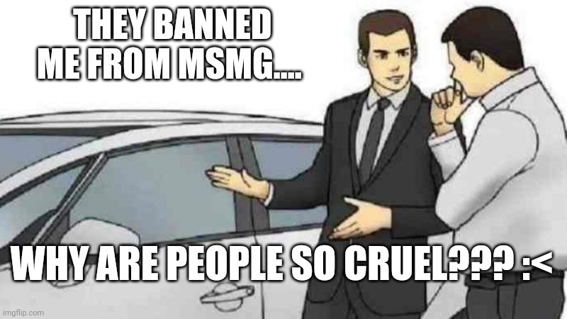 Car Salesman Slaps Roof Of Car | THEY BANNED ME FROM MSMG.... WHY ARE PEOPLE SO CRUEL??? :< | image tagged in memes,car salesman slaps roof of car | made w/ Imgflip meme maker