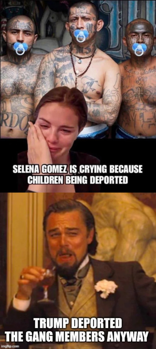Make America Safe | image tagged in make america safe,deport illegal alien criminals,ignore the deranged libs | made w/ Imgflip meme maker