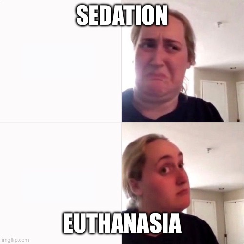 Choose wisely | SEDATION; EUTHANASIA | image tagged in woman trying kombutcha,euthenasia,sedation | made w/ Imgflip meme maker