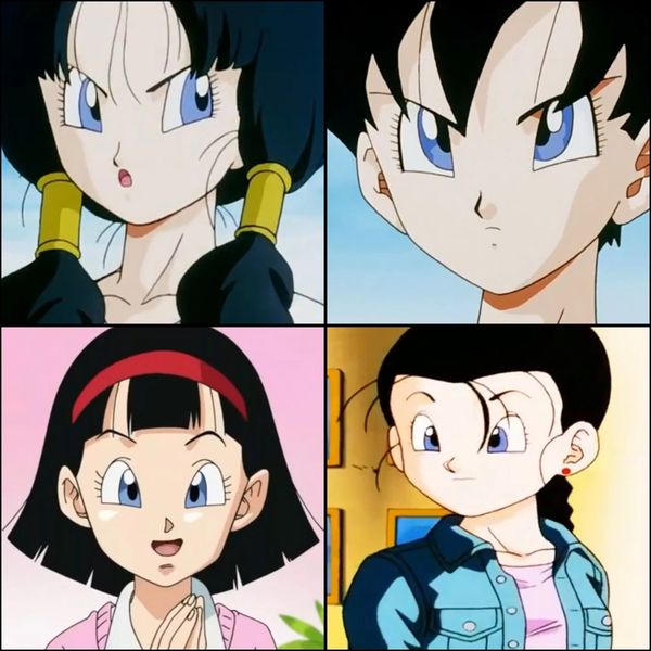 videl forms Blank Meme Template