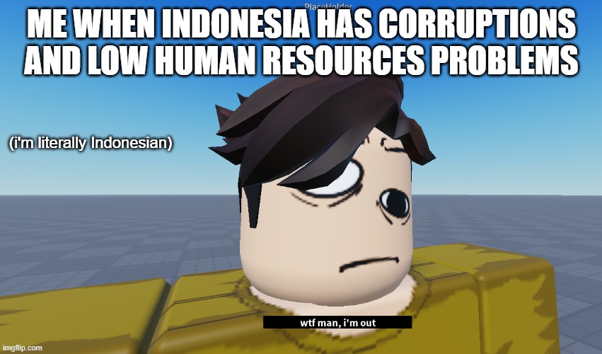 Country Problems | ME WHEN INDONESIA HAS CORRUPTIONS AND LOW HUMAN RESOURCES PROBLEMS; (i'm literally Indonesian) | image tagged in memes | made w/ Imgflip meme maker