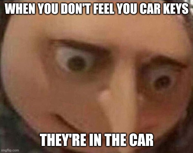 People be like ... | WHEN YOU DON'T FEEL YOU CAR KEYS; THEY'RE IN THE CAR | image tagged in gru meme | made w/ Imgflip meme maker