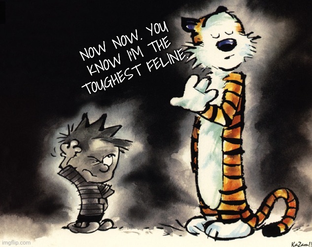History denied | NOW NOW. YOU KNOW I'M THE TOUGHEST FELINE. | image tagged in history denied | made w/ Imgflip meme maker