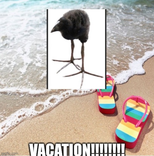 vacation!!!! | image tagged in vacation | made w/ Imgflip meme maker