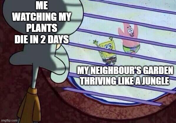 Squidward window | ME WATCHING MY PLANTS DIE IN 2 DAYS; MY NEIGHBOUR'S GARDEN THRIVING LIKE A JUNGLE | image tagged in squidward window | made w/ Imgflip meme maker