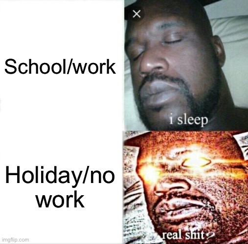 Real stuff | School/work; Holiday/no work | image tagged in memes,sleeping shaq | made w/ Imgflip meme maker