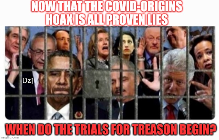 PlanDemic: The Usual Suspects | NOW THAT THE COVID-ORIGINS HOAX IS ALL PROVEN LIES; DzJ; WHEN DO THE TRIALS FOR TREASON BEGIN? | image tagged in lying,libtard,morons,covidiots,democrat,criminals | made w/ Imgflip meme maker