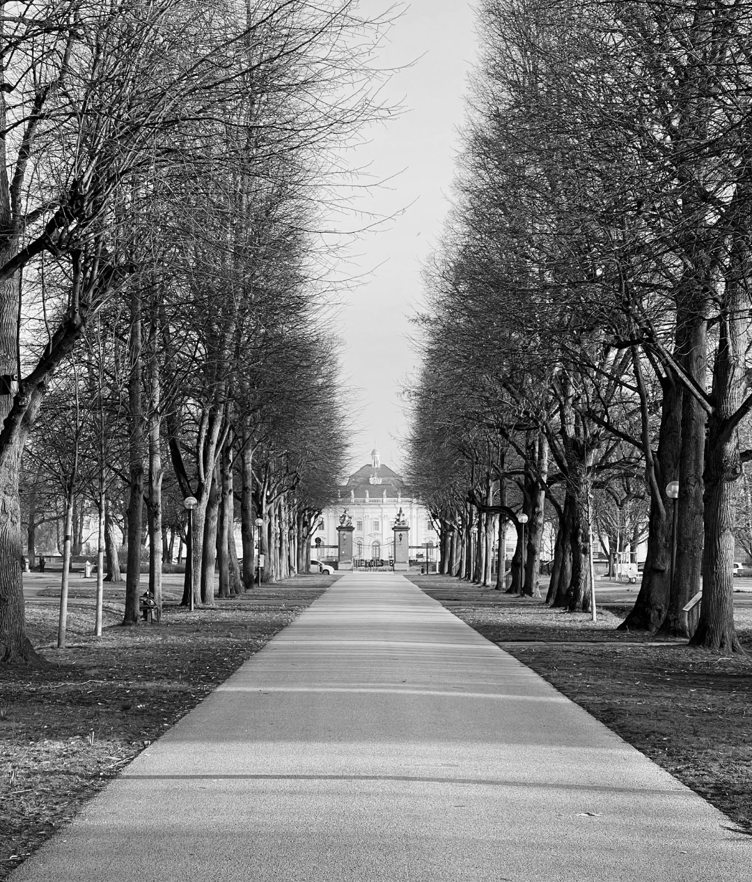 View of Ludwigsburg Palace from Königsallee. Photographed with t Blank Meme Template