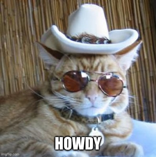 Howdy | HOWDY | image tagged in howdy | made w/ Imgflip meme maker