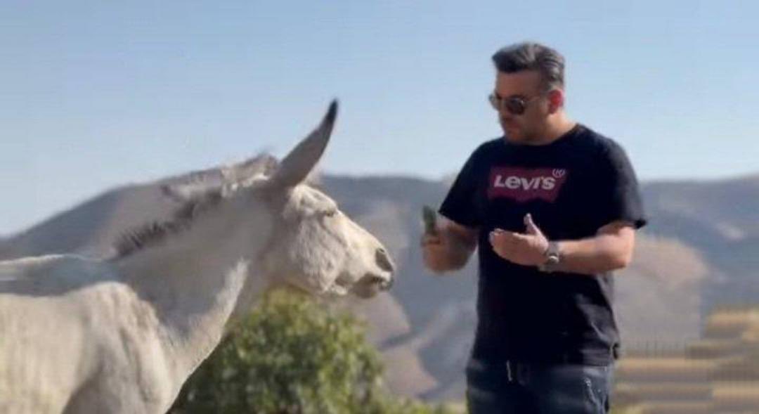 Talking to a donkey Blank Meme Template