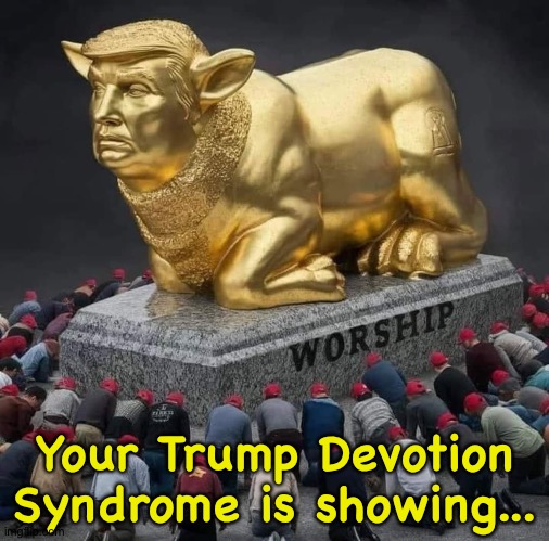 Trump & the golden calf | Your Trump Devotion Syndrome is showing... | image tagged in trump the golden calf | made w/ Imgflip meme maker