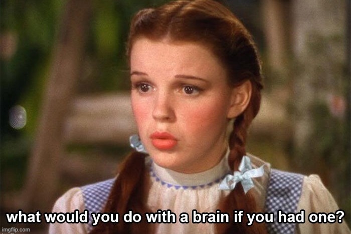 do with a brain | image tagged in do with a brain | made w/ Imgflip meme maker