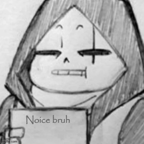 Bruh i have no idea what to say | Noice bruh | image tagged in bruh i have no idea what to say | made w/ Imgflip meme maker