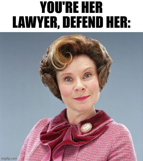 You're Honor I...have nothing... | YOU'RE HER LAWYER, DEFEND HER: | image tagged in funny,memes,funny memes,harry potter,lawyer | made w/ Imgflip meme maker