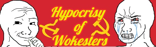Hypocrisy of Wokesters Blank Meme Template