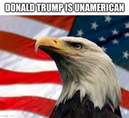 im a real patriot you guys are just posers | DONALD TRUMP IS UNAMERICAN | image tagged in murica patriotic eagle | made w/ Imgflip meme maker
