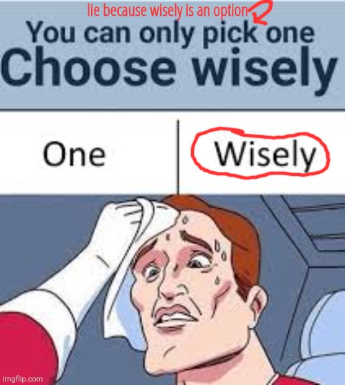 the solution is simple | lie because wisely is an option | made w/ Imgflip meme maker