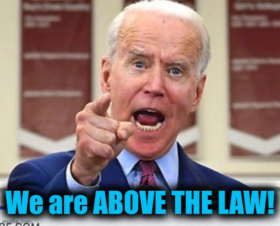 Joe Biden no malarkey | We are ABOVE THE LAW! | image tagged in joe biden no malarkey | made w/ Imgflip meme maker