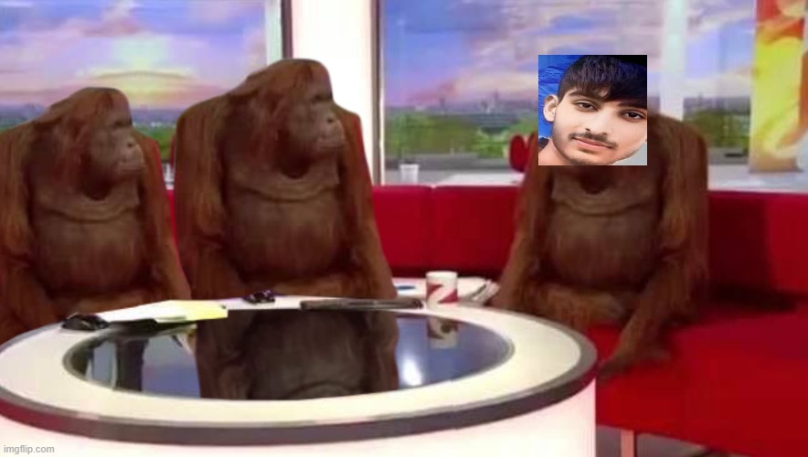 where monkey | image tagged in where monkey | made w/ Imgflip meme maker