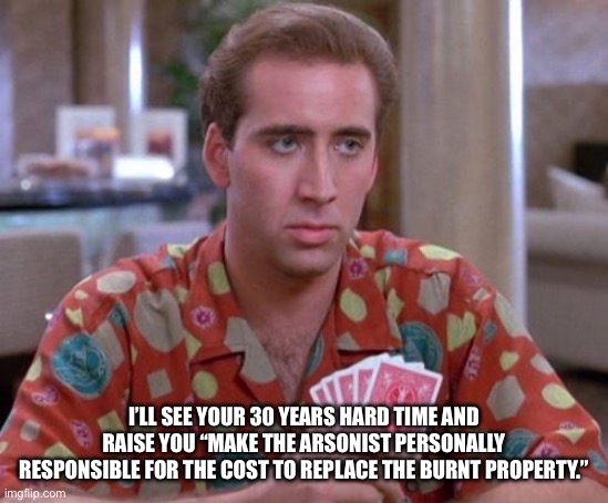 Nick Cage Poker Face | I’LL SEE YOUR 30 YEARS HARD TIME AND RAISE YOU “MAKE THE ARSONIST PERSONALLY RESPONSIBLE FOR THE COST TO REPLACE THE BURNT PROPERTY.” | image tagged in nick cage poker face | made w/ Imgflip meme maker