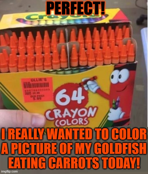 A really good deal if you love coloring pumpkins | PERFECT! I REALLY WANTED TO COLOR
A PICTURE OF MY GOLDFISH
EATING CARROTS TODAY! | image tagged in vince vance,orange,crayons,crayola,goldfish,carrots | made w/ Imgflip meme maker