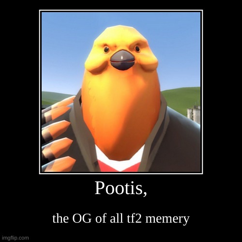 Pootis, | the OG of all tf2 memery | image tagged in funny,demotivationals,you got tf2 shit | made w/ Imgflip demotivational maker