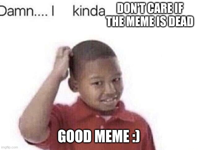 Damn I kinda don’t meme | DON'T CARE IF THE MEME IS DEAD GOOD MEME :) | image tagged in damn i kinda don t meme | made w/ Imgflip meme maker