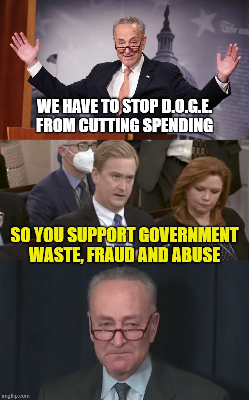 WE HAVE TO STOP D.O.G.E. FROM CUTTING SPENDING; SO YOU SUPPORT GOVERNMENT WASTE, FRAUD AND ABUSE | image tagged in chuck schumer,peter doocy asking questions,chuck schumer crying | made w/ Imgflip meme maker