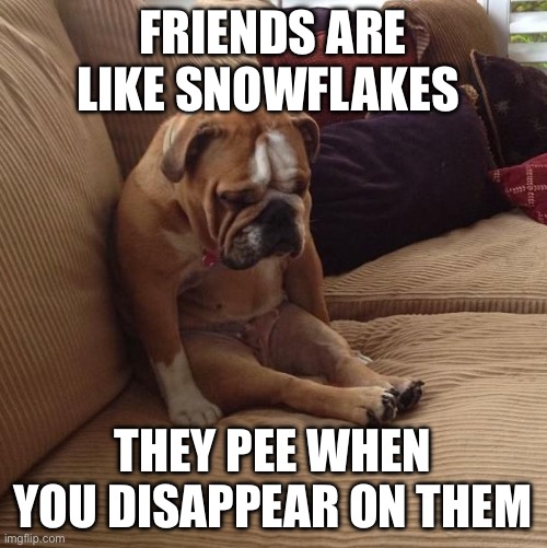 bulldogsad | FRIENDS ARE LIKE SNOWFLAKES THEY PEE WHEN YOU DISAPPEAR ON THEM | image tagged in bulldogsad | made w/ Imgflip meme maker
