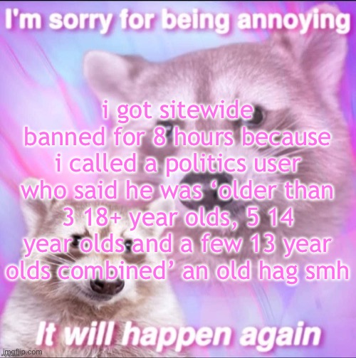 only in politics stream | i got sitewide banned for 8 hours because i called a politics user who said he was ‘older than 3 18+ year olds, 5 14 year olds and a few 13 year olds combined’ an old hag smh | image tagged in sorry for being annoying | made w/ Imgflip meme maker