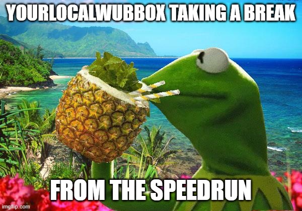 vacation kermit | YOURLOCALWUBBOX TAKING A BREAK FROM THE SPEEDRUN | image tagged in vacation kermit | made w/ Imgflip meme maker