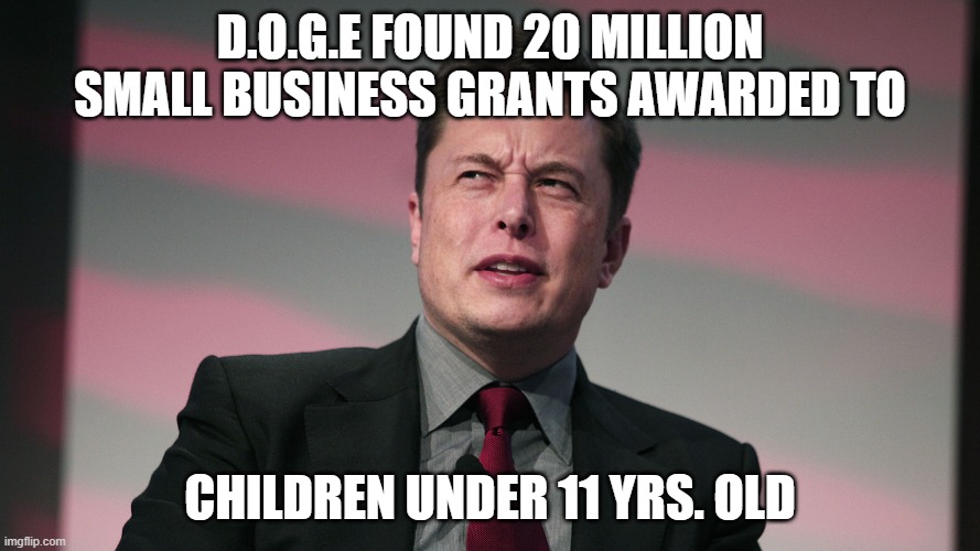 Confused Elon Musk | D.O.G.E FOUND 20 MILLION SMALL BUSINESS GRANTS AWARDED TO; CHILDREN UNDER 11 YRS. OLD | image tagged in confused elon musk | made w/ Imgflip meme maker