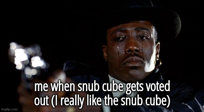 Crying man with gun | me when snub cube gets voted out (I really like the snub cube) | image tagged in crying man with gun | made w/ Imgflip meme maker