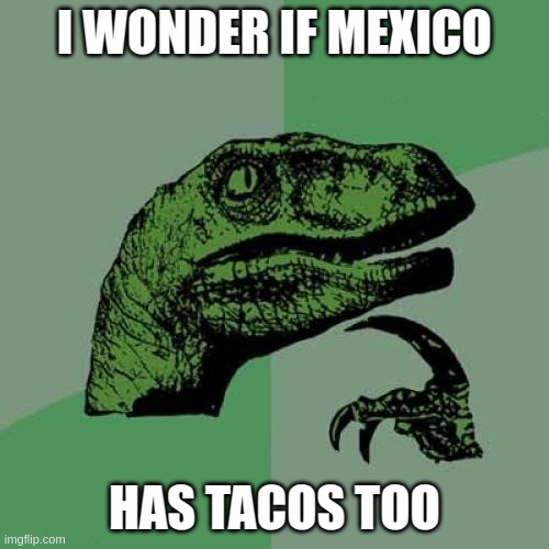 And what do they taste like? | I WONDER IF MEXICO; HAS TACOS TOO | image tagged in memes,philosoraptor | made w/ Imgflip meme maker